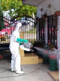 Desinsectado, Sanitizado y Control de roedores, Cementerio Municipal Hualqui