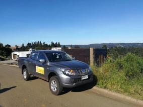 Control de roedores y desinsectado contra arañas en Pingueral