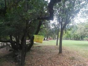 Control integrado de plagas en Centro de Educacion al Aire Libre Los Pellines