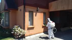 Desinsectando de casa en Chiguayante